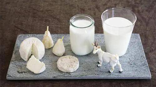 深化行业协作，共筑乳品安全防线——记陕西省乳品安全生产协会副秘书长王伟民到科仪阳光参观调研