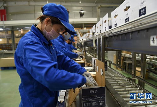 内蒙古和林格尔 按下复工复产“加速键”，全力保障乳制品生产供应