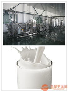 高效与安全并重 现代液态奶乳制品生产线的全流程解析