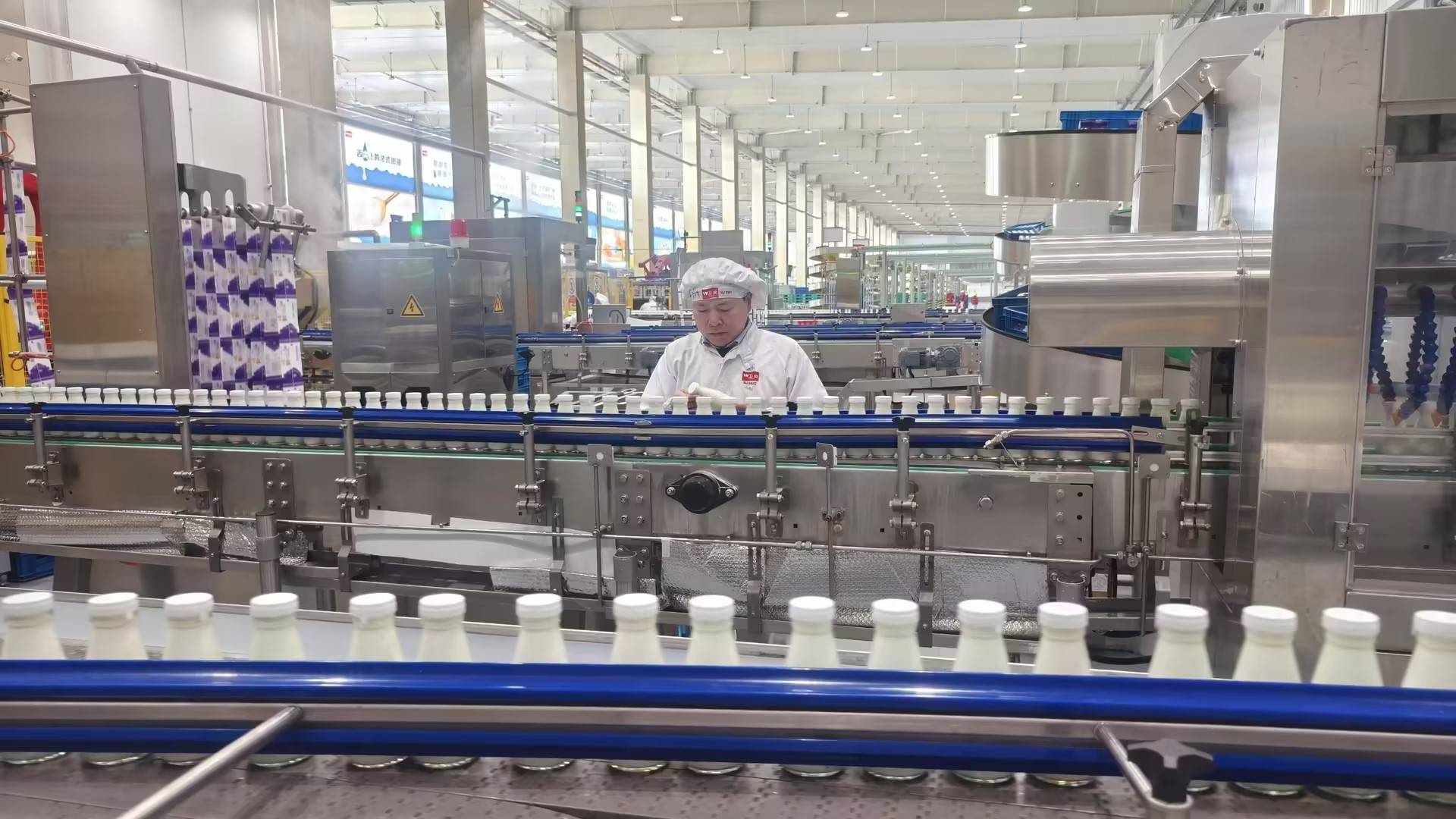 新春走基层 | 卫岗乳业 蛇年生产不打烊，守好舌尖“奶香味”